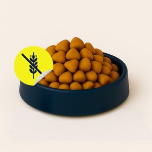 Pienso sin cereales para gatitos