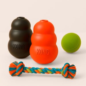 Juguetes para perros