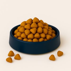 Piensos para gatitos