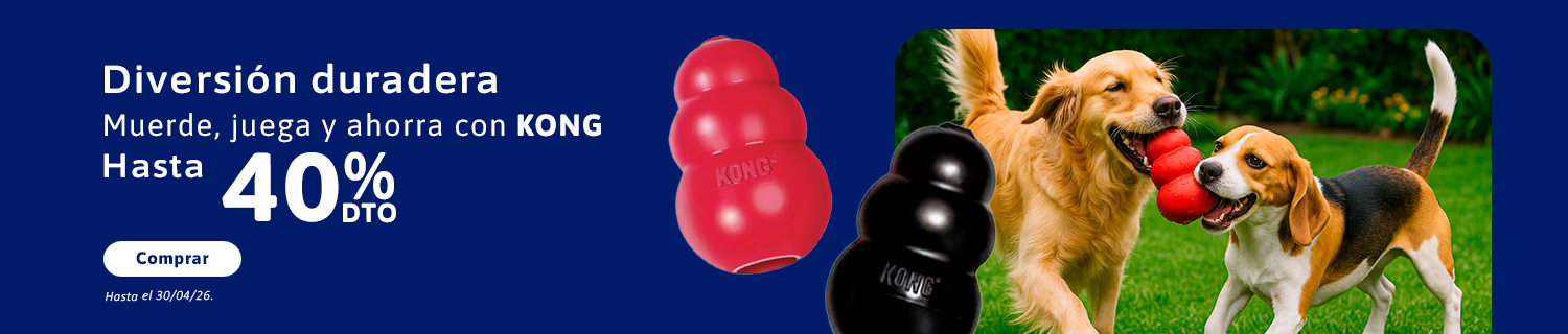 BANNER-KONG-DESCUENTO-PC